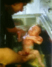 thm_Mikah-Waschbecken.gif